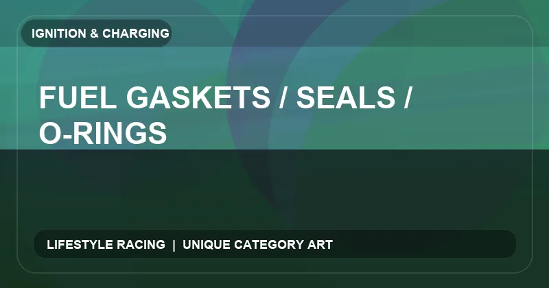 Fuel Gaskets / Seals / O-Rings